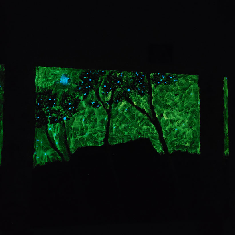 uv-bilder